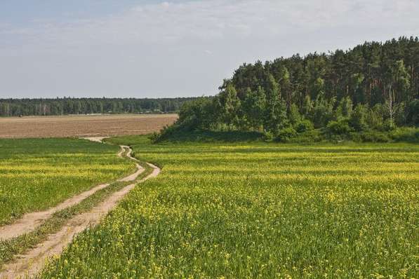 Продаю землю в Калужской области