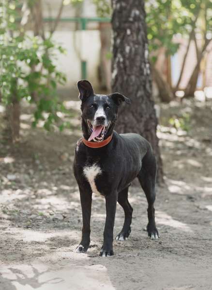 Улыбчивый лучик Фаина ищет семью в Москве фото 39