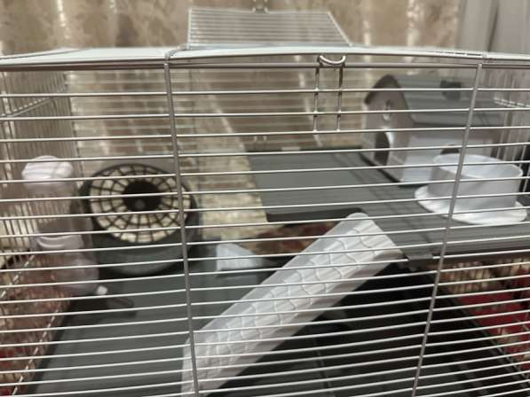 Клетка для грызунов