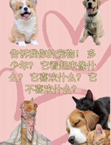 Репетитор по китайскому языку в Москве фото 3