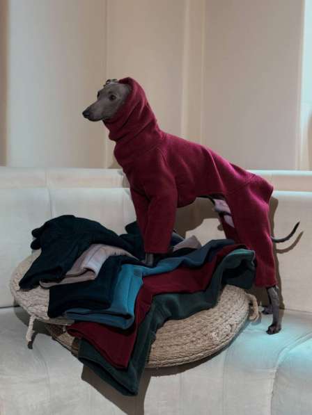 Одежда для собак всех размеров !! в 