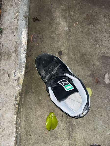 Настоящая пума в Миллерово фото 3