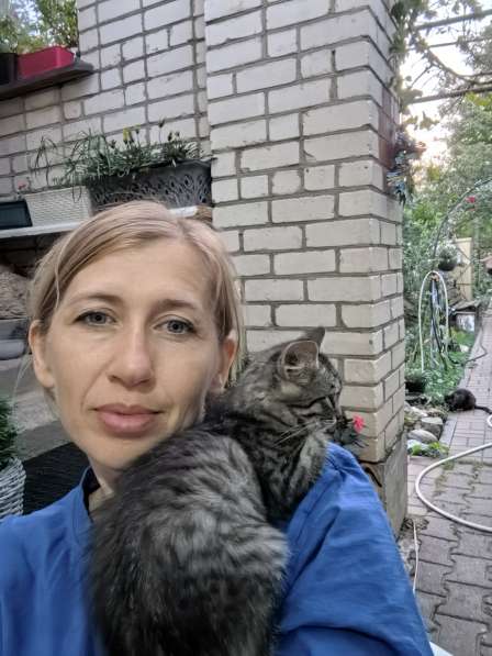 Отдаю котят добрыми и заботливыми в Ставрополе