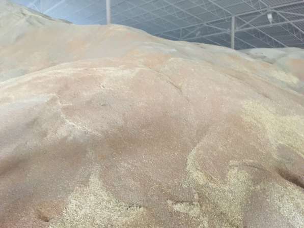 Пшеница из России на экспорт в Ставрополе фото 3
