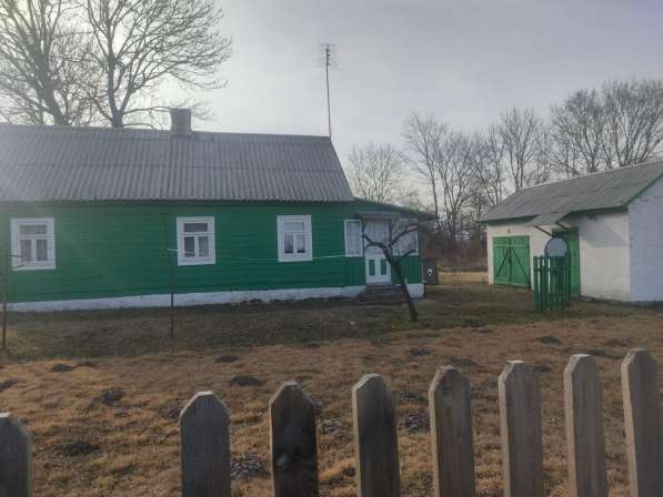 Дом в Беловежской пуще в фото 8