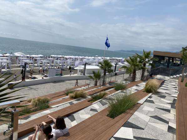 Британские котята в Реутове фото 6