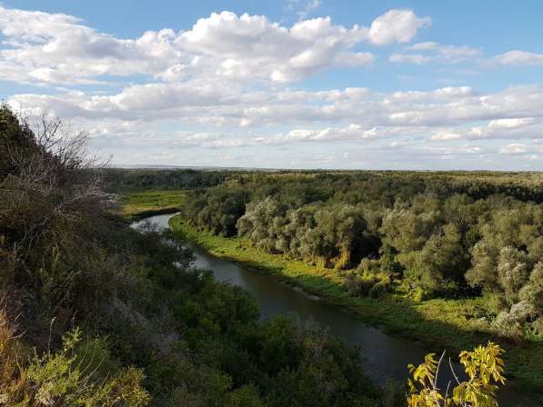 Земельный участок на берегу Дона в Иловле фото 6