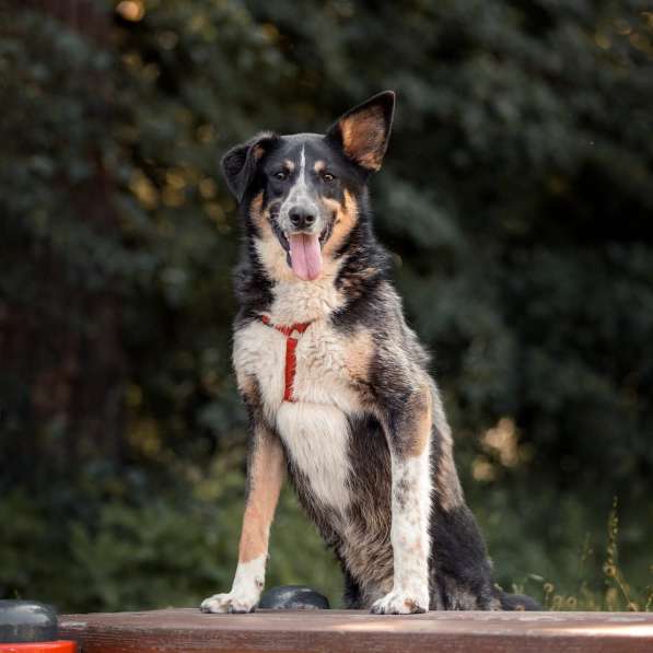 Том ищет дом в Москве фото 9