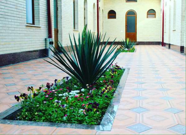 Samarkand Travel Hotel в фото 22
