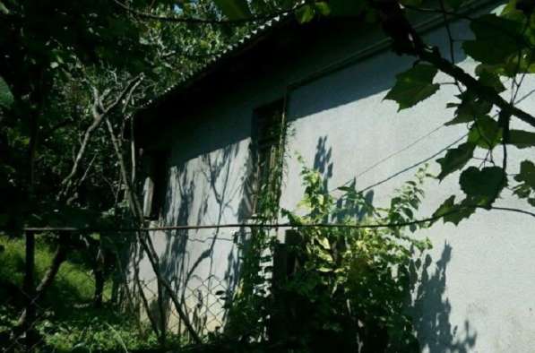 Продаю 2 дома на земельном участке в Сочи в Сочи фото 3