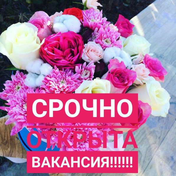 Обработка заявок в контакте