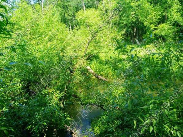 realty_mapper3.plot_in_locationИндивидуальное жилищное ст-во. Площадь 30.00 сот.Есть Электричество. в Москве фото 56