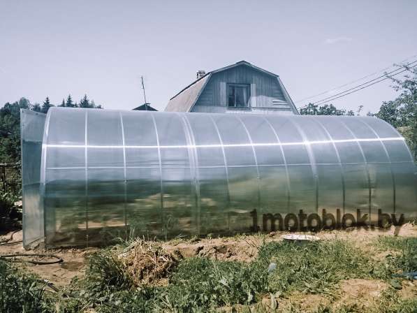 Теплица в фото 5