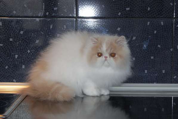 ГУЧЧИ в Москве фото 13