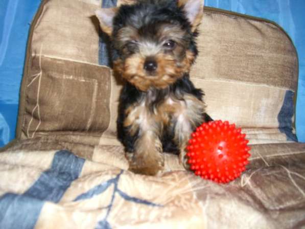 мини мальчик бэбифейс в Москве фото 7