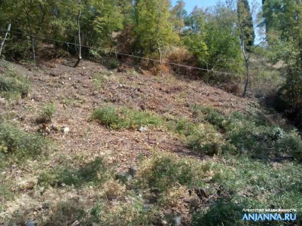 Продается земельный участок на ЮБК в Алуште фото 6