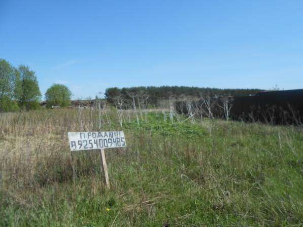 Продается земельный участок 16 соток в деревне Хотилово, Можайский р-он,109 км от МКАД по Минскому шоссе.