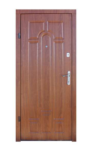 Входные двери в фото 17