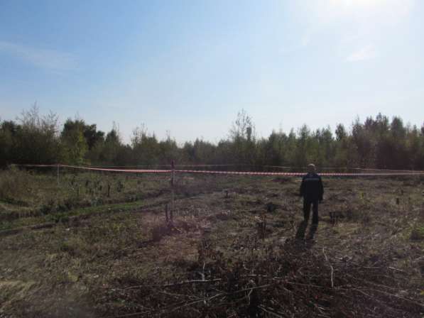 Под коттедж в Рубцово 10 соток в Рязани фото 33