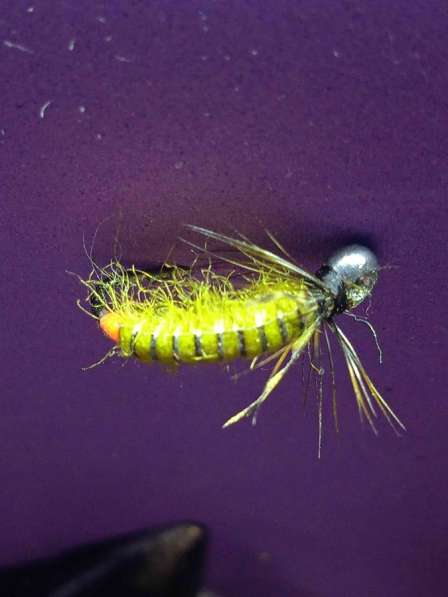 Мушки и нимфы в Ухте фото 10