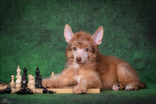 КХС в Москве фото 6