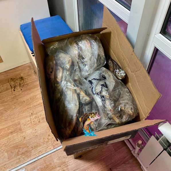 Рыба вяленая и сушена Лещ по цене 320 руб./кг в Москве