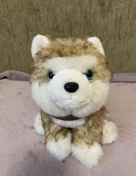 Мягкая игрушка собачка Хаски