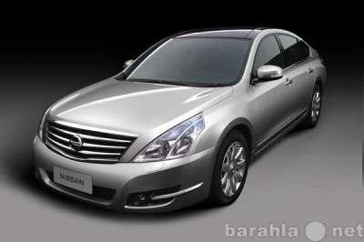 автозапчасти Nissan Teana, Murano