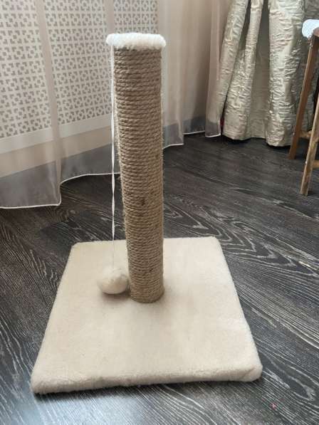 Когтеточка в Москве фото 3