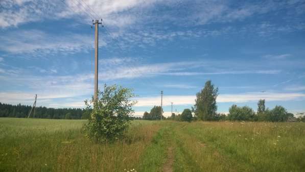 Семь гектар земли рядом с посёлком, расширение до 16 в Пскове