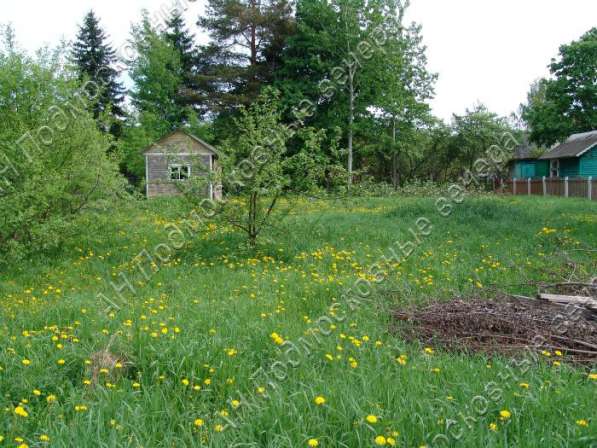 realty_mapper3.plot_in_locationСадовое некоммерческое тов-во. Площадь 10.00 сот.Есть Газ.