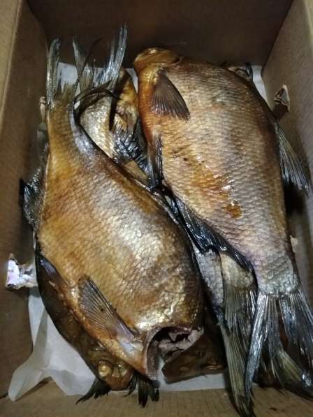 Рыба копченая, вяленая, соленая в Котласе фото 12