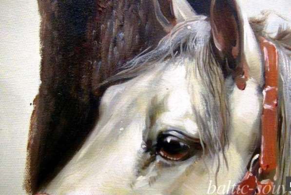 Лошадь, 50х60см, Картина маслом на холсте, Живопись художник в Москве