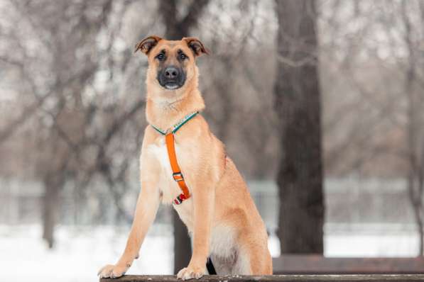 Чудесная Бриа ищет семью в Москве фото 16