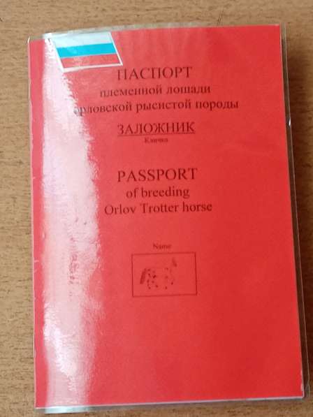 Все вопросы по телефону в Новосибирске фото 4
