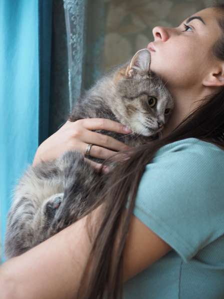 Идеальная кошка-компаньон Лиза в добрые руки в Москве фото 4