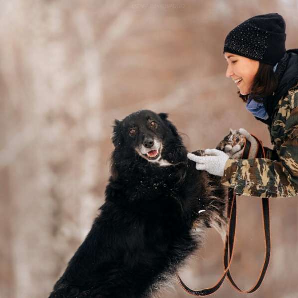 Весёлая, ласковая Чукча ищет семью в Москве фото 63