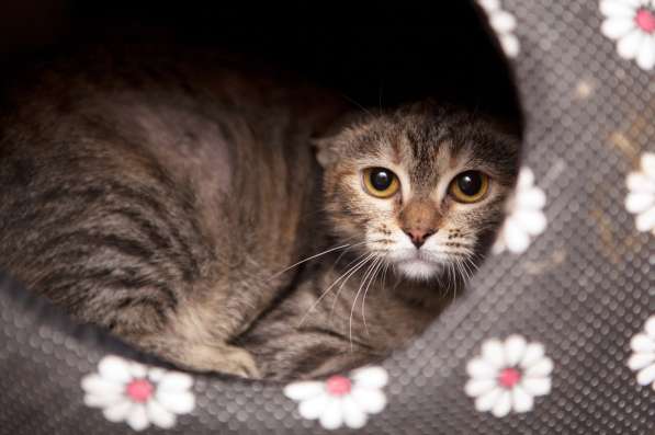 Разборчивая Эрика настроена на блестящее будущее в Москве фото 3