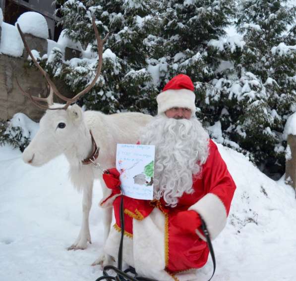 Дед Мороз в каждый дом в Звенигороде фото 3