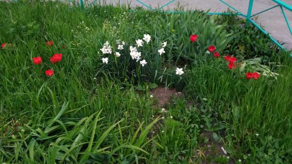 Продам дом в Ростов-на-Дону.Жилая площадь 800 кв.м. в Ростове-на-Дону фото 20