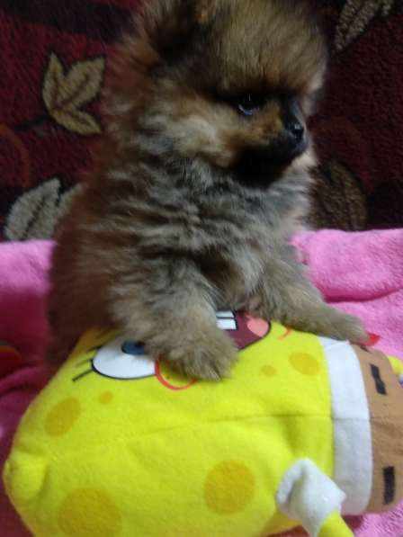 Мальчик в фото 7