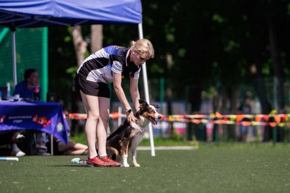 Кинолог для собак