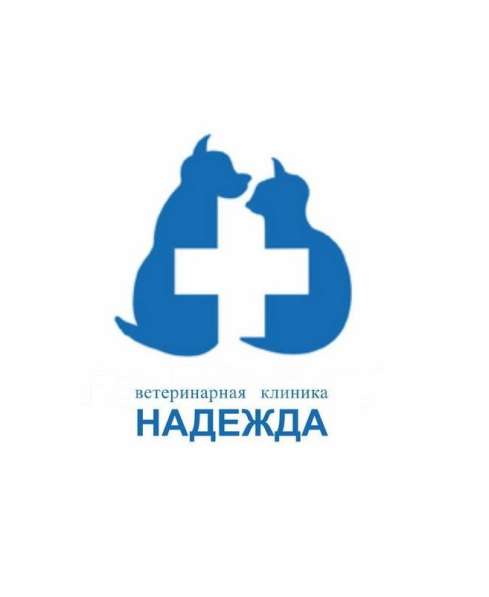 Ветеринарный врач в ОРИТ с опытом работы