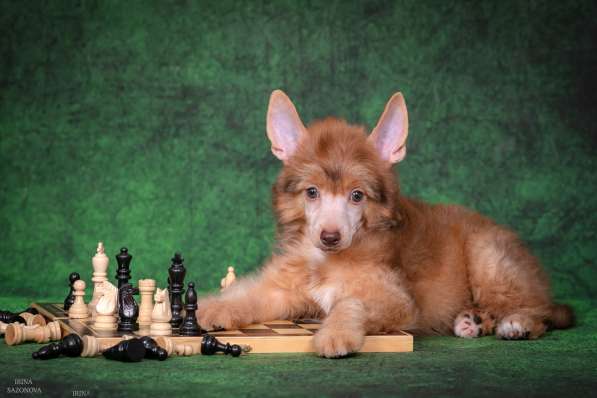 КХС в Москве фото 8