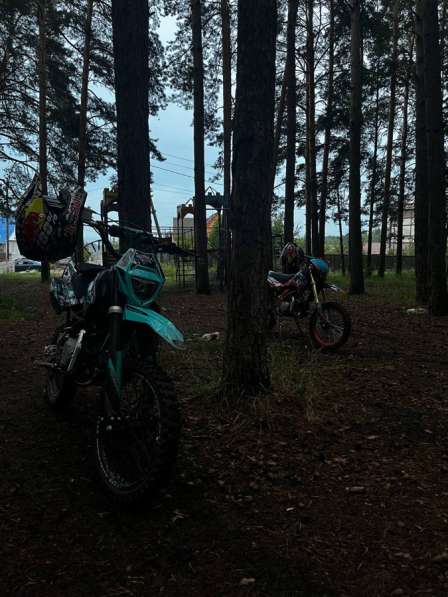 Regulmoto seven medalist pro 150e в Красноярске фото 3