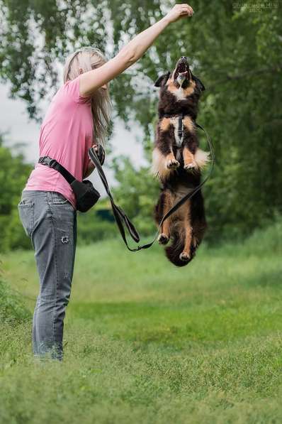 Чудо-собачка Фиби ищет семью в Москве фото 5