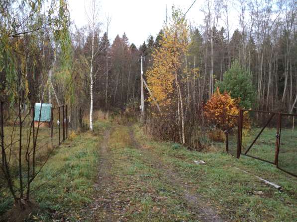 Обработанный (бытовка, электричество, сад) участок в СНТ в Волоколамске фото 15