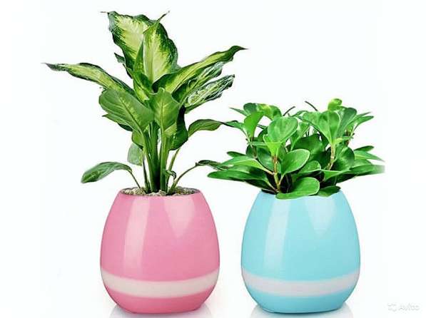 Акустическая колонка Smart Music Flowerpot в Брянске фото 3