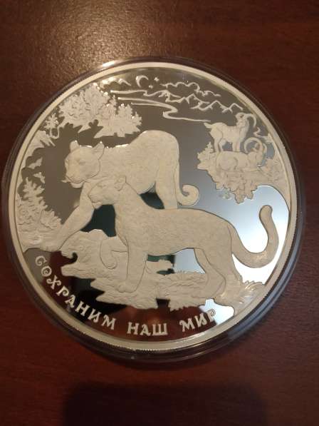 Монета серебрянная 1кг., Леопарды