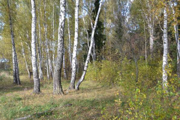 Участок 14 сот в жилом поселке по границе с лесом в Михнево
